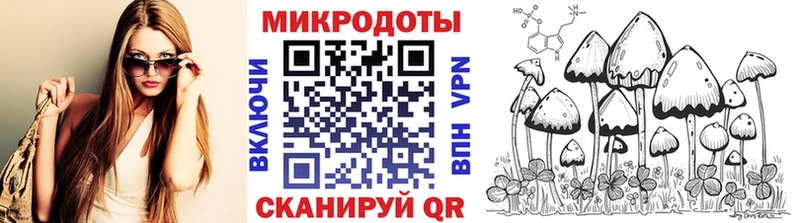 Галлюциногенные грибы Psilocybe  где купить   Буйнакск 